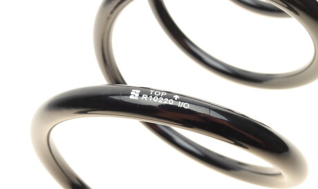 Фото 3 - Пружина підвіски EIBACH R10220