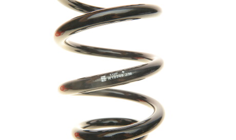 Фото 2 - Пружина підвіски EIBACH R10305