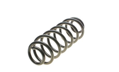 Фото 5 - Пружина підвіски EIBACH R10529