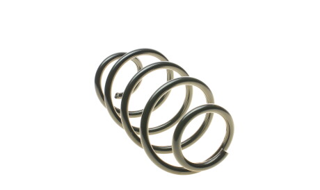 Фото 2 - Пружина підвіски EIBACH R10841