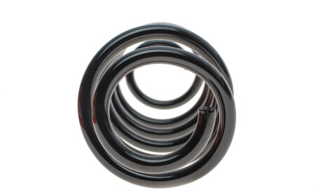 Фото 2 - Пружина подвески EIBACH R11078