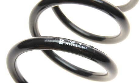 Фото 2 - Пружина подвески EIBACH R17296