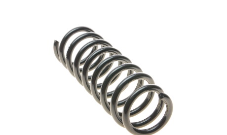 Фото 3 - Пружина підвіски EIBACH R18624