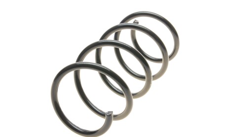 Фото 5 - Пружина подвески EIBACH R19200