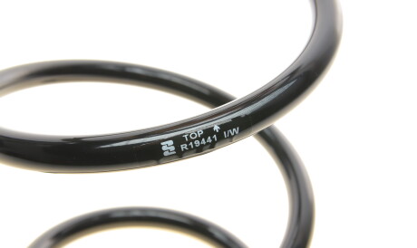 Фото 2 - Пружина підвіски EIBACH R19441