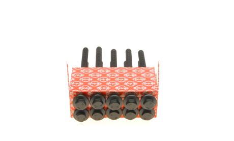 Фото 5 - Болти головки блоку циліндрів ELRING 257.910 (257910)