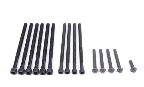 Фото 4 - Болти головки блоку циліндрів ELRING 426.890 (426890)