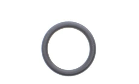 Прокладка термостата MB E-class (W212/W213) 1.6/2.0 (M274) 13- (кільце) - ELRING 473920