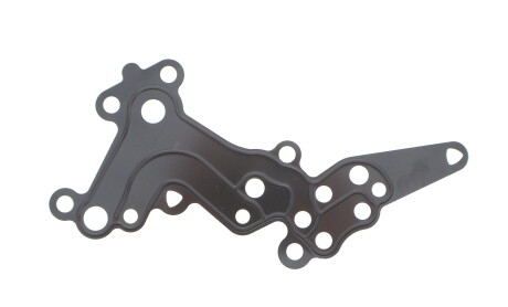 Прокладка натягувача ланцюга ГРМ AUDI A3, Q3, TT 2.5 07.09-10.18 - ELRING 493.870