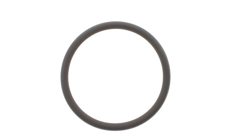 Ущільнювальне кільце - ELRING 573320
