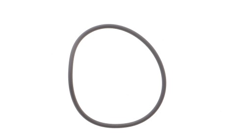 Прокладка насосу вакуумного BMW 3 (E90)/5 (E60) 1.6/2.0i (N43) 06-11 (кільце) - ELRING 691650