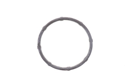 Прокладка термостата Hyundai Getz 1.1 02-09 - ELRING 726750