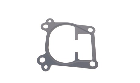 Прокладка корпуса колектора впускного Opel Astra G 2.0 2.2 DTI 99-05 - ELRING 743.970