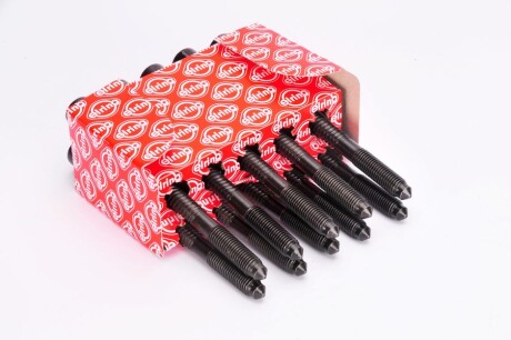 Фото 2 - Болты головки блока цилиндров ELRING 819.840 (819840)