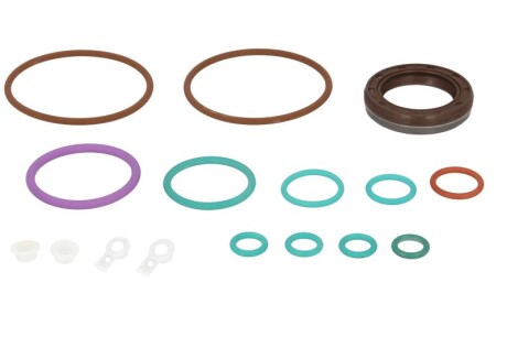 Комплект сальників насоса CP4 S-1 BOSCH (з ущільнювачем, підходить до: 0 445 010 506 0 445 010 507 0 445 010 508 0 445 010 543 0 445 010 546 0 445 010 580) BMW AUDI A4 ALLROAD B8 2.7D/3.0D 05.04- - ENGITECH ENT210017