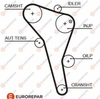 Ремень ГРМ - EUROREPAR 1633129180