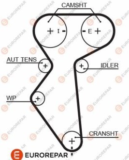 Ремінь ГРМ - EUROREPAR 1633132580