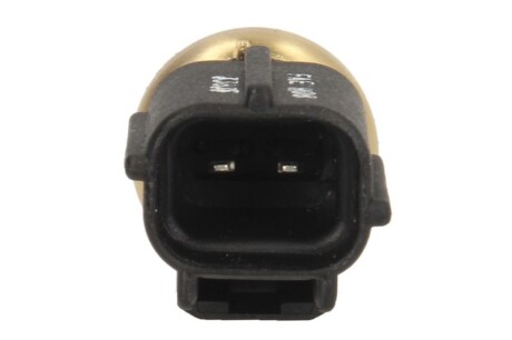 Фото 2 - Датчик температуры ОЖ FAE 33835