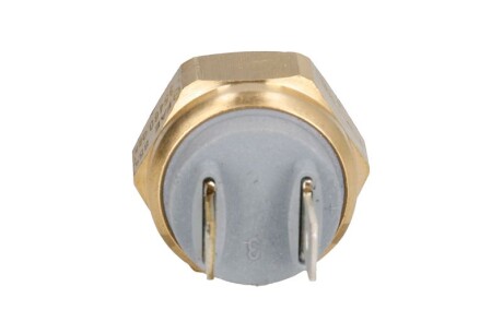 Фото 2 - Датчик температуры ОЖ FAE 35460