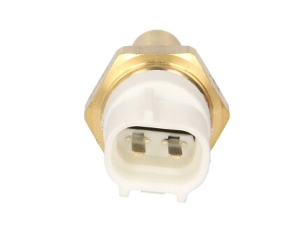 Фото 2 - Датчик керування двигуном FAE 36545