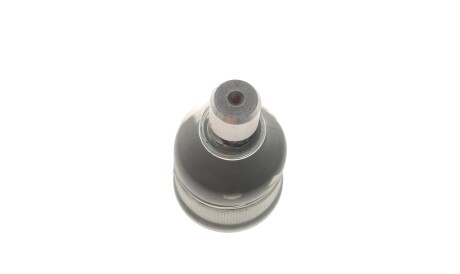 Фото 2 - Шарова опора FAG 825 0246 10 (825024610)