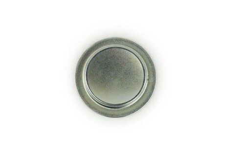 Заглушка блока циліндрів Fiat Doblo 1.2 01- (d=50mm) - FAST FT49308