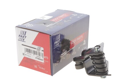 Фото 2 - Двері FAST FT95547