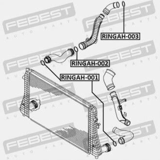 Фото 2 - Автозапчастина FEBEST RINGAH002