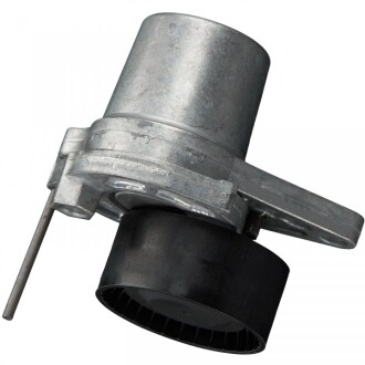 Фото 2 - Ролик ремня приводного FEBI BILSTEIN 100188