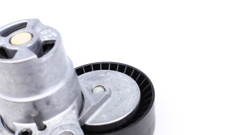 Фото 2 - Ролик ременя приводного FEBI BILSTEIN 170256