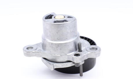 Фото 3 - Ролик ременя приводного FEBI BILSTEIN 170256