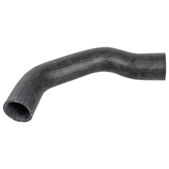 Radiator hose - FEBI BILSTEIN 172029