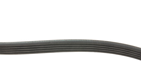 Фото 2 - Ремінь приводний FEBI BILSTEIN 177980