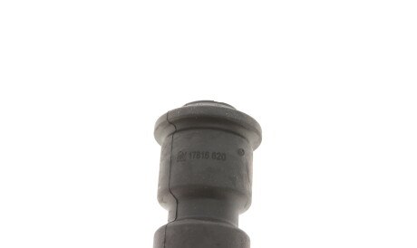 Фото 2 - Рессора FEBI BILSTEIN 17816