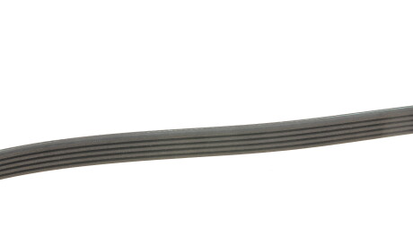 Фото 3 - Ремінь приводний FEBI BILSTEIN 28838