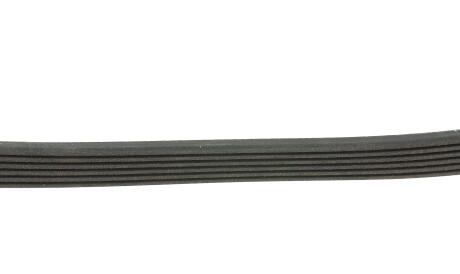 Фото 2 - Ремень приводной FEBI BILSTEIN 28903