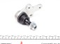 Опора кульова передня нижня Ford C-max 07-10/ Focus 04-12 (Febi) - (1470387, 1679388, 30760279) FEBI BILSTEIN 30380 (фото 2)