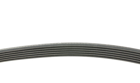 Фото 2 - Ремінь приводний FEBI BILSTEIN 37533