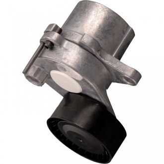 Фото 2 - Ролик ременя приводного FEBI BILSTEIN 38467