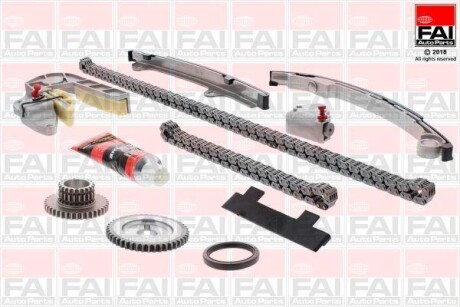 Комплект цели привода распредвала - (130286N200, 130286N200S1, 130706N200) Fischer Automotive One (FA1) TCK31