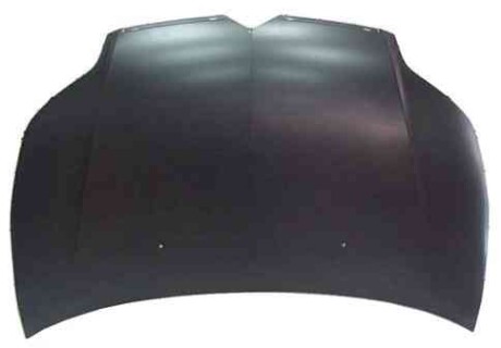 Капот - FPS 2008 280