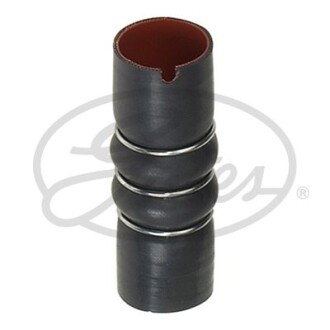 Przewod turbo - ((51703325)) Gates 09-0060