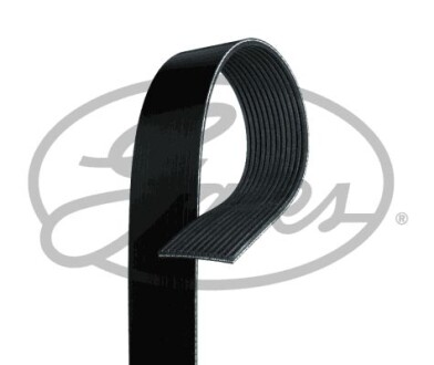 V-ribbed belts - (504049425, 500341808, 504027703) Gates 12PK1815HD