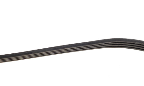 Фото 3 - Ремінь приводний Gates 4PK1123