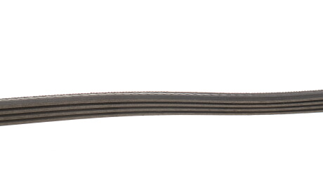 Фото 3 - Ремень приводной Gates 4PK840