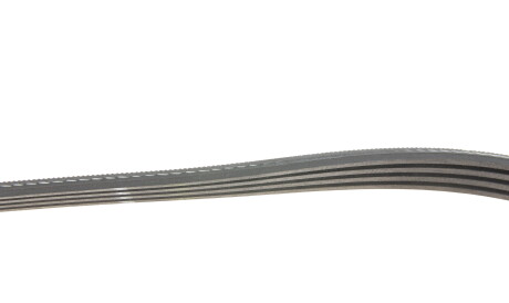 Фото 3 - Ремінь приводний Gates 4PK928