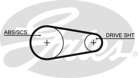 Пас ГРМ - Gates 5204XS