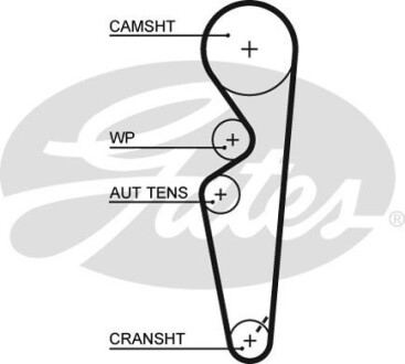 Ремінь ГРМ - (55196971, 7762910) Gates 5431XS