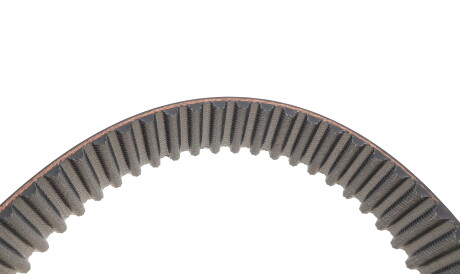 Фото 3 - Ремень ГРМ Gates 5445XS