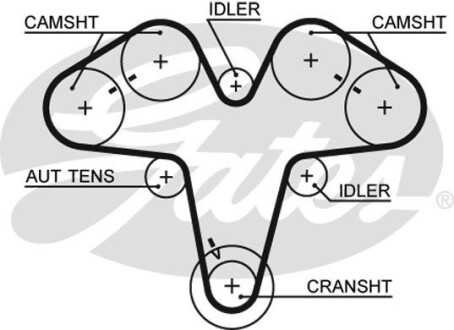 Ремінь ГРМ - (55191536, 60603056, 60616799) Gates 5476XS